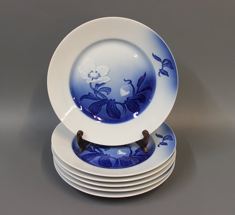 Lunch Plate 21.5 cm in Royal Christmas rose. 
Currently we have small soup plates in stock.
5000m2 showroom.