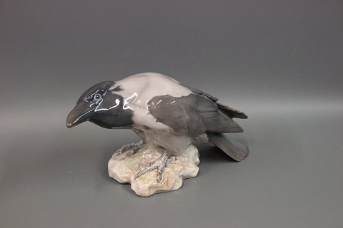 B&G crow Figurine No. 1714. 
Length 33 cm and height 16 cm. 5000 m2 showroom.