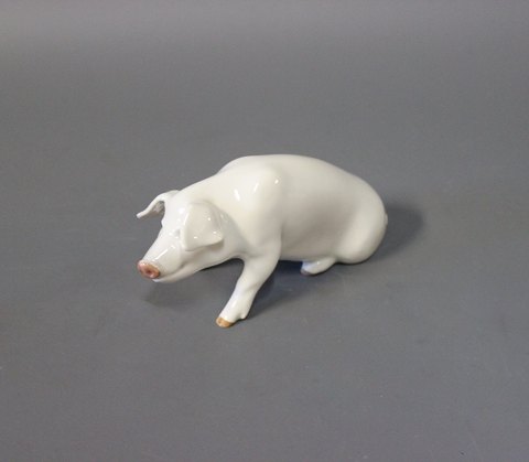 Royal figurine Pig, no. 1400.
5000m2 showroom.