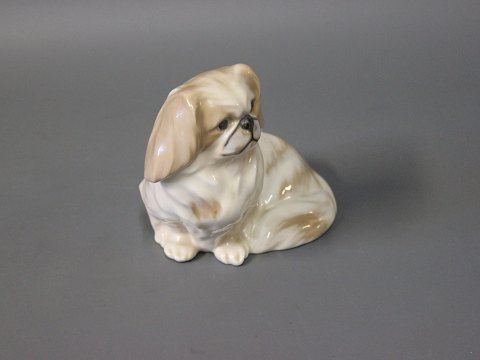 Royal figurine sitting Pekinese dog, no. 1772.
5000m2 showroom.