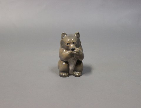 Kgl. porcelænsfigur lille stående bjørn nr.: 3014.
Flot stand

