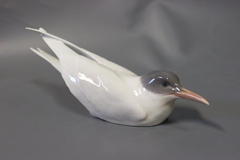 Royal Copenhagen porcelain figure Arctic Tern, no.: 827.
5000m2 showroom.