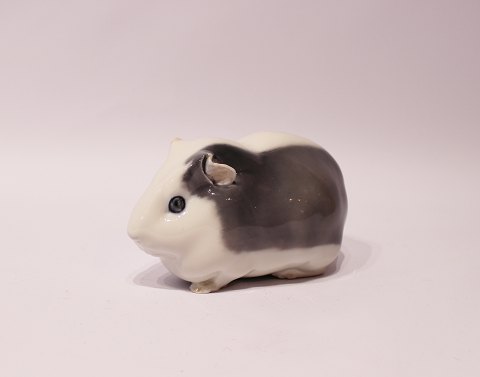 Royal Copenhagen porcelain figure, Guinea pig, no.: 4052.
Great condition
