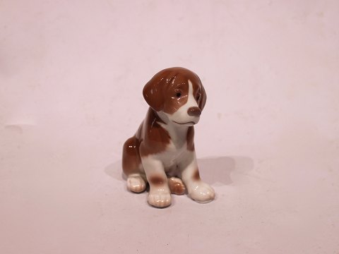 Bing and Grøndahl porcelain figure, puppy, no.: 1926.
5000m2 showroom.