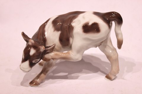 Bing and Grøndahl porcelain figure, standing cow, no.: 1826 by Knud Kyhn.
5000m2 showroom.