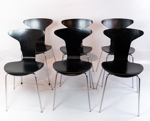 Et sæt af 6 Munkegaard Spisestuestole - Sort - Arne Jacobsen - 1955