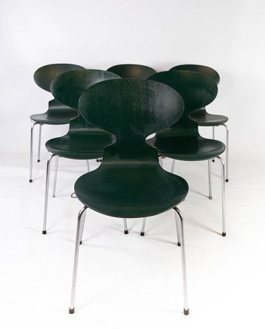 Sæt af fem mørke grønne Myre stole, model 3101, designet af Arne Jacobsen i 1952 
og fremstillet af Fritz Hansen. 
5000m2 udstilling.
