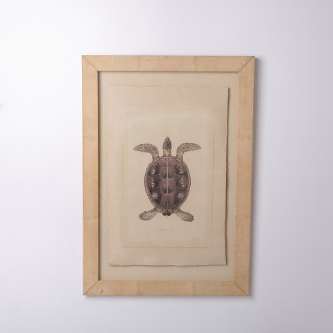 Print depicting a turtle in a frame from the 1980s