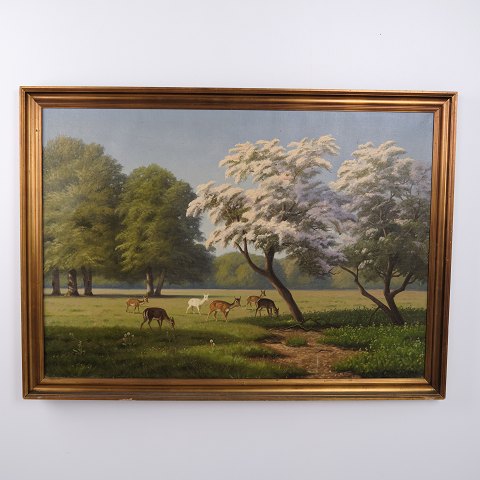 Oil Painting on Canvas with Fallow Deer in Dyrehaven beneath Flowering Trees, Signed, circa 1910–1920