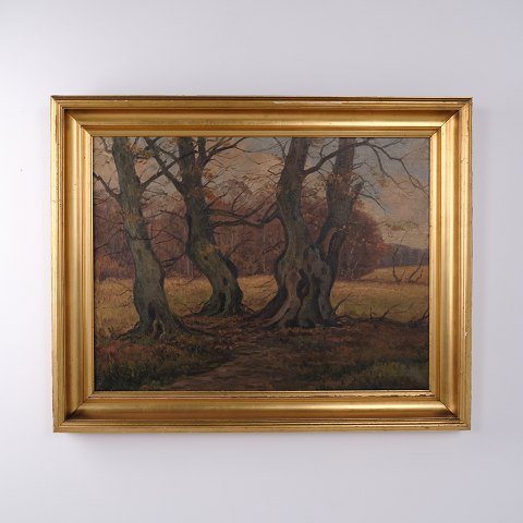 Oil Painting with Forest Landscape and Old Gnarled Trees in Profiled Gilt Frame 80 x 101 cm