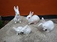 Different rabbits from 
B&G. 
Many other figurines in stock at the moment.  5000m2 Showroom.