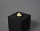 Pendant in 14 ct. gold with a small Shell.
5000m2 showroom.