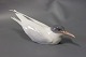 Royal Copenhagen porcelain figure Arctic Tern, no.: 827.
5000m2 showroom.