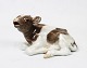 Royal Copenhagen porcelain figure, lying calf, no.: 1072.
5000m2 showroom.