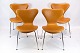 A set of 4 Seven chairs, model 3107, designed by Arne Jacobsen and manufactured 
by Fritz Hansen.
5000m2 showroom.
specifications
