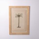 Print depicting a palm tree in a frame from the 1980s